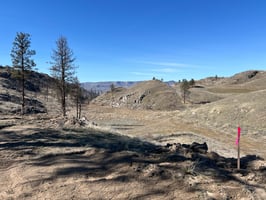 17367964