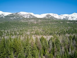 17363815