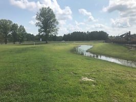17426769