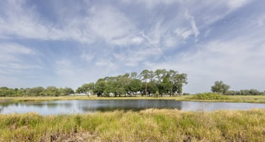20158091