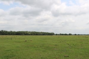 17448269