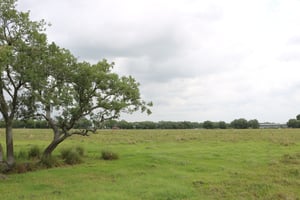 17448266