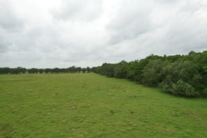 17448258