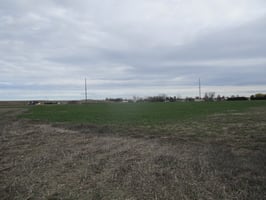 17486186