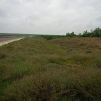 17487507