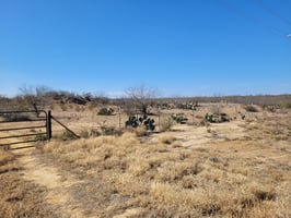 17487424