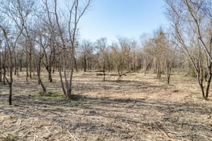 29499074