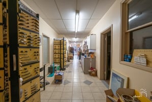 30450667