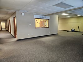 29544338