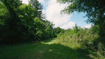 17565401