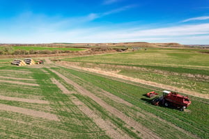 17665177