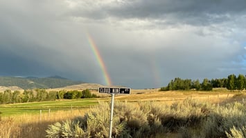 17717622