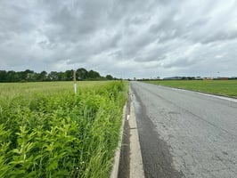 17689499