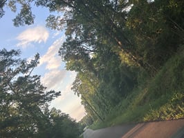 17843541