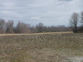 33064382
