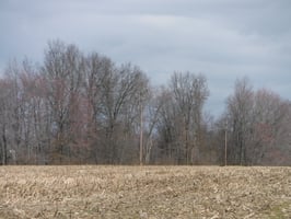 17868119