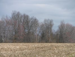 33064381
