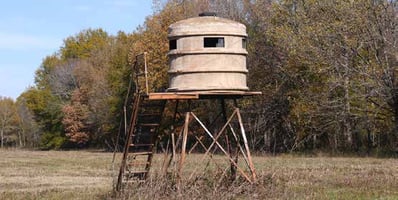 17984854