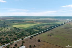 26380733