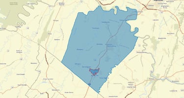 29875009