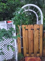 20746388