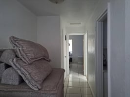 20746384