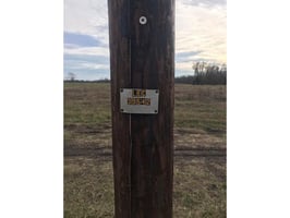18149207