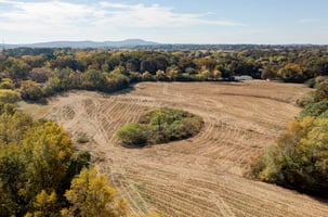 18167648
