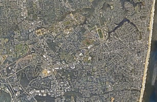 29262596
