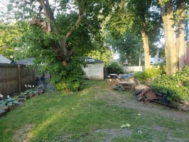 18245264
