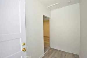 30738519