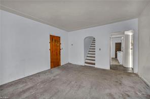 31568636
