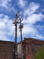 18367804
