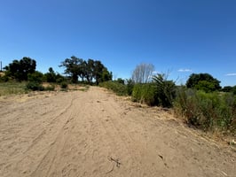 18578463