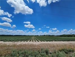 18445725