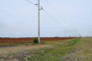 18453911