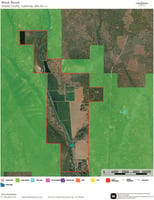 18465442