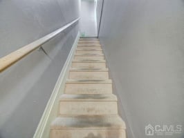 18487816