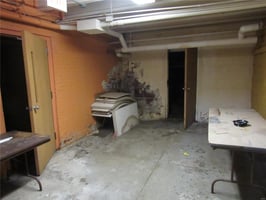 18575164