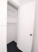 29106046