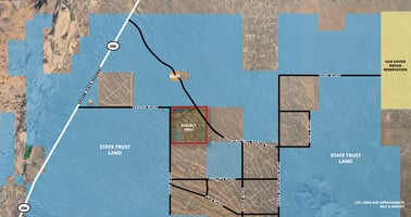 19745934