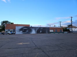 34204564