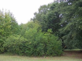 30924091