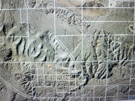 21558566