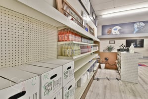 19366034