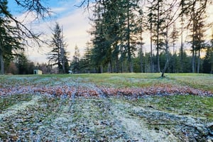 28960721