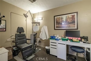 24617301