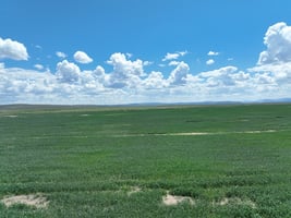 19634095