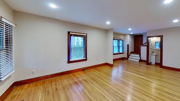 19461955