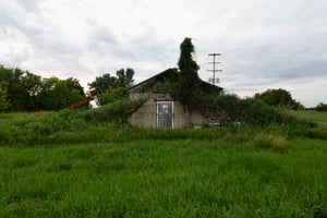 19506780
